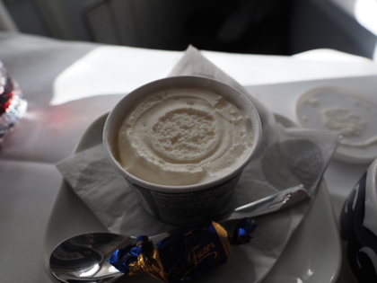 ヘルシンキ (フィンランド)から 成田 (東京)への飛行機便 - フィンエアー(Finnair) A350-900:画像92