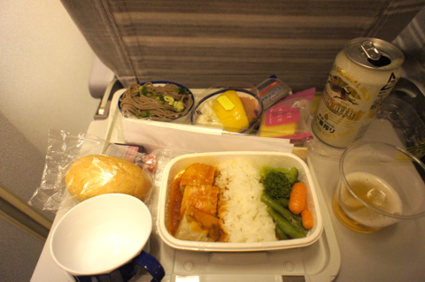 ローマ(イタリア)から成田(東京)への飛行機便 - JAL 日本航空 B747-400:画像16