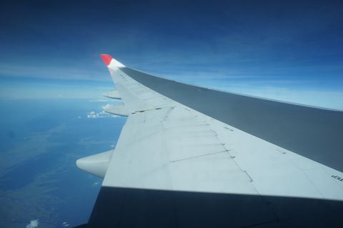 ローマ(イタリア)から成田(東京)への飛行機便 - JAL 日本航空 B747-400:画像19