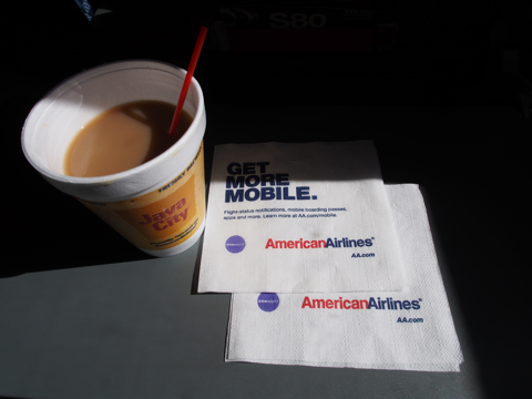 ロサンゼルスからラスベガスの飛行機便 - アメリカンエアライン S80:画像17