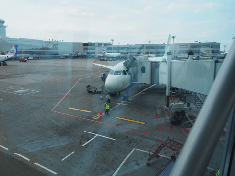 モスクワ (ロシア)からサンクトペテルブルグ (ロシア)への飛行機便 - Rossiya Airlines (ロシア航空) A319-100:画像5