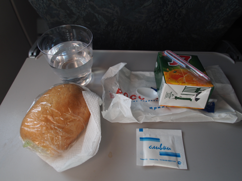 モスクワ (ロシア)からサンクトペテルブルグ (ロシア)への飛行機便 - Rossiya Airlines (ロシア航空) A319-100:画像12