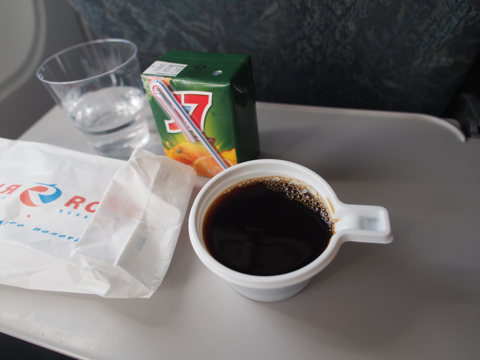 モスクワ (ロシア)からサンクトペテルブルグ (ロシア)への飛行機便 - Rossiya Airlines (ロシア航空) A319-100:画像13
