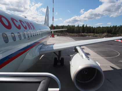 サンクトペテルブルグ (ロシア)からモスクワ (ロシア)への飛行機便 - Rossiya Airlines (ロシア航空) A319-100:画像22