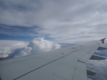 サンクトペテルブルグ (ロシア)からモスクワ (ロシア)への飛行機便 - Rossiya Airlines (ロシア航空) A319-100:画像31