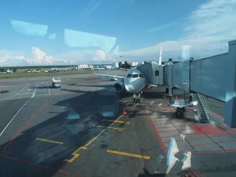 サンクトペテルブルグ (ロシア)からモスクワ (ロシア)への飛行機便 - Rossiya Airlines (ロシア航空) A319-100:画像34
