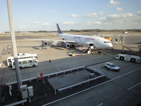 成田(東京)からカイロへの飛行機便 - エジプト航空 A340-200:画像14