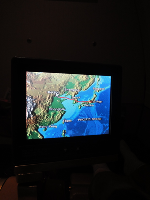 成田(東京)からカイロへの飛行機便 - エジプト航空 A340-200:画像28