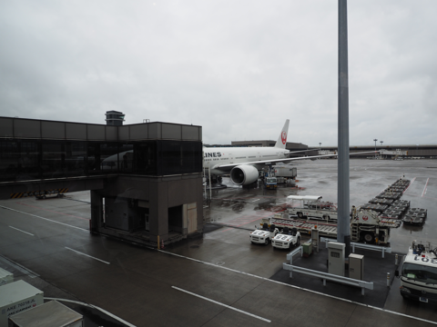 成田 (東京)からフランクフルト (ドイツ)への飛行機便 - JAL (日本航空) B777-300:画像15