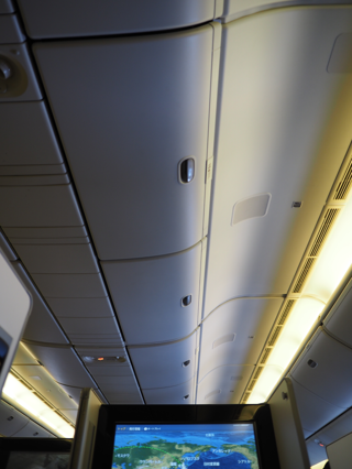 成田 (東京)からフランクフルト (ドイツ)への飛行機便 - JAL (日本航空) B777-300:画像39