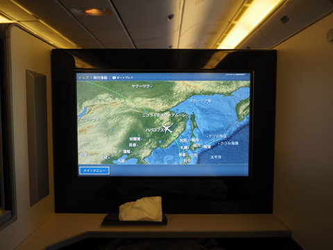 成田 (東京)からフランクフルト (ドイツ)への飛行機便 - JAL (日本航空) B777-300:画像34