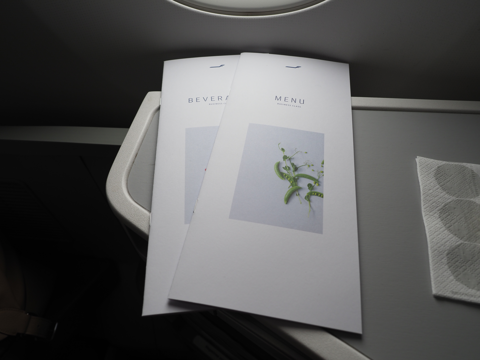 成田 (東京)からヘルシンキ (フィンランド)への飛行機便 - フィンエアー(Finnair) A350-900:画像34