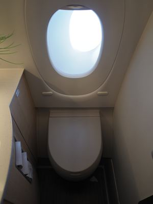 成田 (東京)からヘルシンキ (フィンランド)への飛行機便 - フィンエアー(Finnair) A350-900:画像68