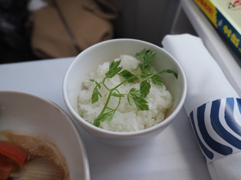 成田 (東京)からヘルシンキ (フィンランド)への飛行機便 - フィンエアー(Finnair) A350-900:画像65