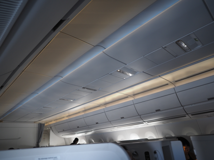 成田 (東京)からヘルシンキ (フィンランド)への飛行機便 - フィンエアー(Finnair) A350-900:画像41
