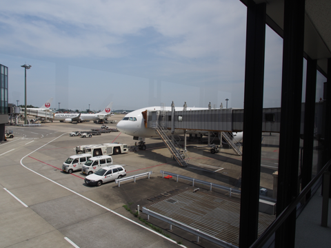 成田 (東京)からモスクワ (ロシア)への飛行機便 - JAL(日本航空) B777-200:画像17