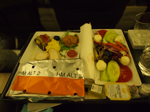 イスタンブル (トルコ)から成田 (東京)への飛行機便 - トルコ航空 B777-300ER:画像19