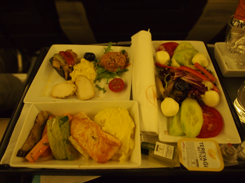 イスタンブル (トルコ)から成田 (東京)への飛行機便 - トルコ航空 B777-300ER:画像20