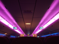 イスタンブル (トルコ)から成田 (東京)への飛行機便 - トルコ航空 B777-300ER:画像25
