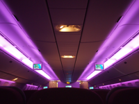 イスタンブル (トルコ)から成田 (東京)への飛行機便 - トルコ航空 B777-300ER:画像30