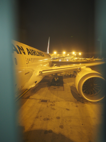 パリ (フランス)から成田 (東京)への飛行機便 - JAL (日本航空) B787-8:画像37