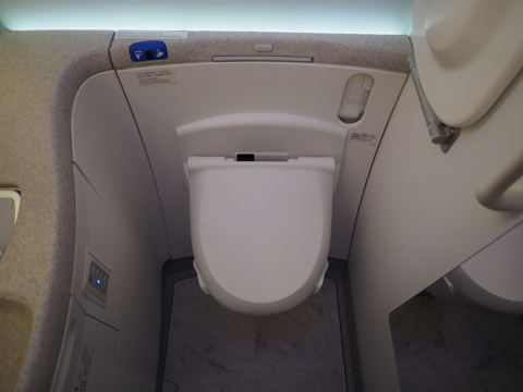 パリ (フランス)から成田 (東京)への飛行機便 - JAL (日本航空) B787-8:画像81