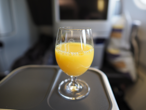 ミュンヘン (ドイツ) から 羽田 (東京)への飛行機便 - ルフトハンザ航空 Aurbus A340-600 (フライトレポート・飛行時間):画像37