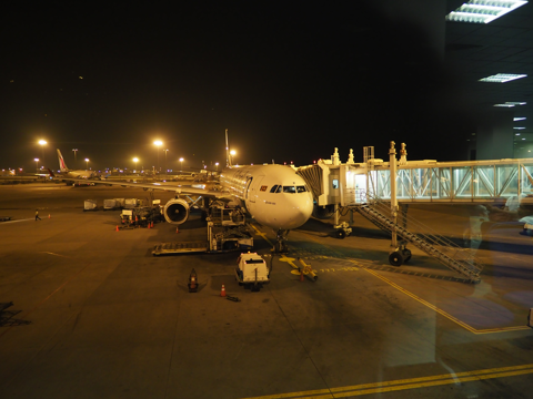 コロンボ (スリランカ) から 成田 (東京) への飛行機便 - スリランカ航空 A330-300:画像33