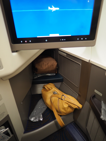 コロンボ (スリランカ) から 成田 (東京) への飛行機便 - スリランカ航空 A330-300:画像40