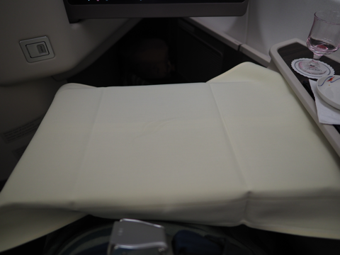 コロンボ (スリランカ) から 成田 (東京) への飛行機便 - スリランカ航空 A330-300:画像55