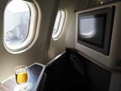 成田 (東京)からコロンボ (スリランカ)への飛行機便 - スリランカ航空 A330-300:画像32