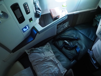 成田 (東京)からコロンボ (スリランカ)への飛行機便 - スリランカ航空 A330-300:画像57