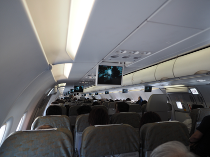 ダナン (ベトナム)から成田 (東京)への飛行機便 - ベトナム航空 A321:画像27