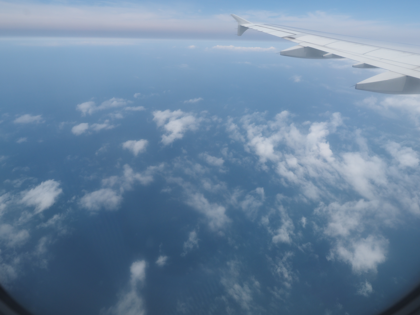 ダナン (ベトナム)から成田 (東京)への飛行機便 - ベトナム航空 A321:画像33