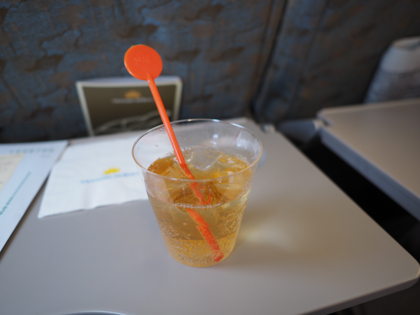 ダナン (ベトナム)から成田 (東京)への飛行機便 - ベトナム航空 A321:画像36
