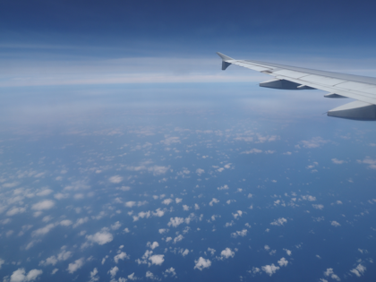 ダナン (ベトナム)から成田 (東京)への飛行機便 - ベトナム航空 A321:画像37