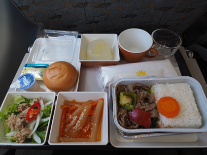 ダナン (ベトナム)から成田 (東京)への飛行機便 - ベトナム航空 A321:画像38