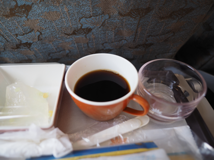 ダナン (ベトナム)から成田 (東京)への飛行機便 - ベトナム航空 A321:画像39
