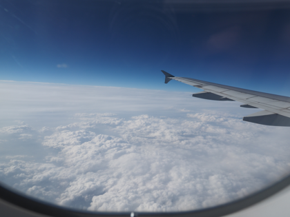 ダナン (ベトナム)から成田 (東京)への飛行機便 - ベトナム航空 A321:画像40