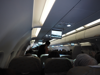 ダナン (ベトナム)から成田 (東京)への飛行機便 - ベトナム航空 A321:画像41