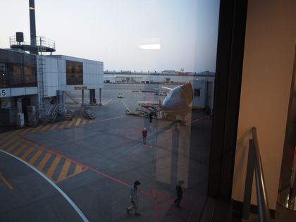 ダナン (ベトナム)から成田 (東京)への飛行機便 - ベトナム航空 A321:画像47