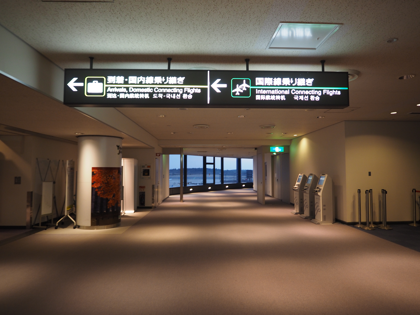 ダナン (ベトナム)から成田 (東京)への飛行機便 - ベトナム航空 A321:画像48