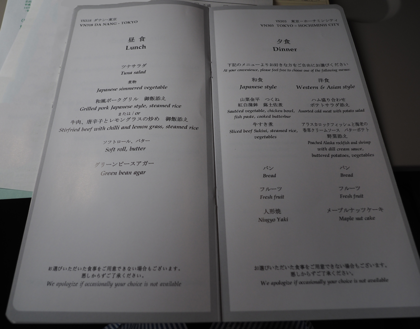 ダナン (ベトナム)から成田 (東京)への飛行機便 - ベトナム航空 A321:画像34