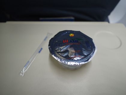 シェムリアップ (カンボジア) から ダナン (ベトナム)への飛行機便 - ベトナム航空 ATR72:画像33