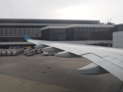 成田 (東京)からハノイ (ベトナム)への飛行機便 - ベトナム航空 A330-200:画像27