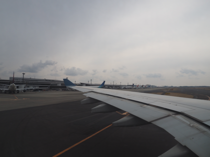 成田 (東京)からハノイ (ベトナム)への飛行機便 - ベトナム航空 A330-200:画像29