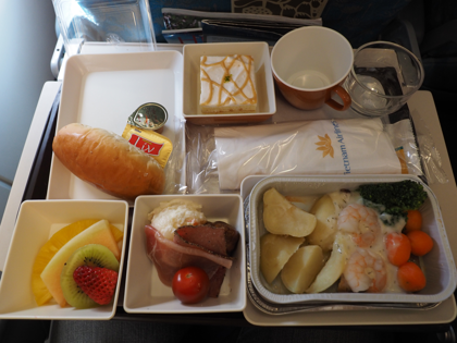 成田 (東京)からハノイ (ベトナム)への飛行機便 - ベトナム航空 A330-200:画像39