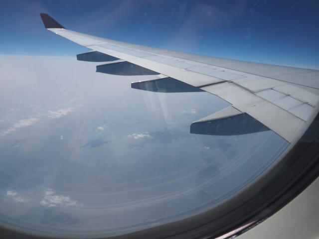 成田 (東京)からハノイ (ベトナム)への飛行機便 - ベトナム航空 A330-200:画像41