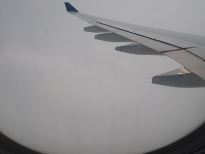 成田 (東京)からハノイ (ベトナム)への飛行機便 - ベトナム航空 A330-200:画像43