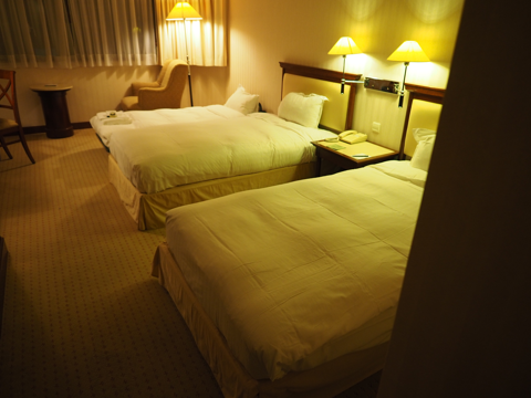 Evergreen Laurel Hotel (パリ) の体験記と写真:画像6
